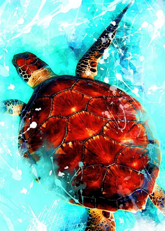 Picture of TORTOISE ANIMAL ART