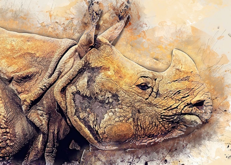 Picture of RHINOCEROS ANIMAL ART