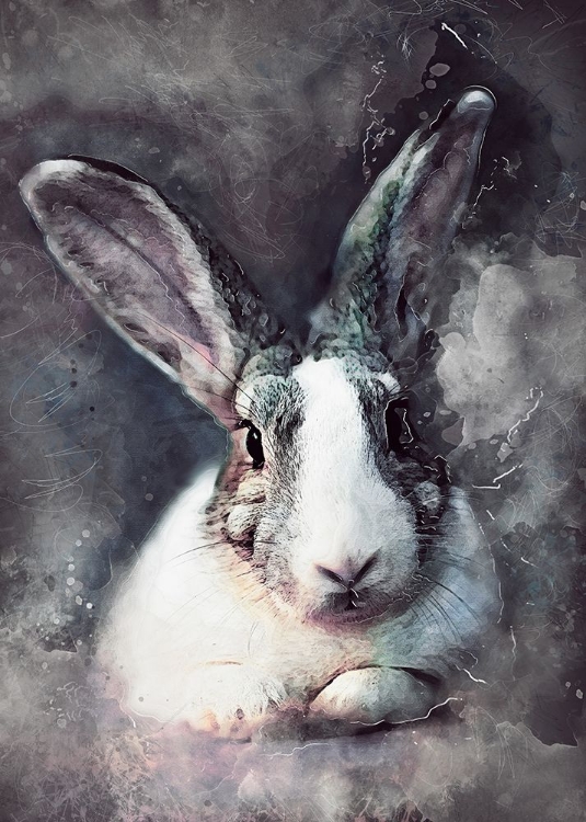 Picture of RABBIT ANIMAL ART