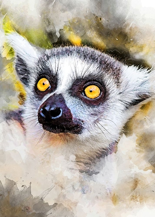 Picture of LEMUR ANIMAL ART