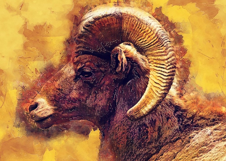 Picture of MOUFLON ANIMAL ART