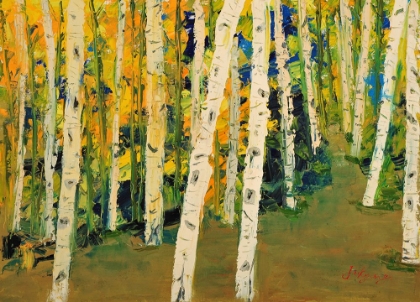 Picture of BIRCH TREES