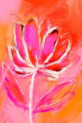 Picture of FIRE FLOWER