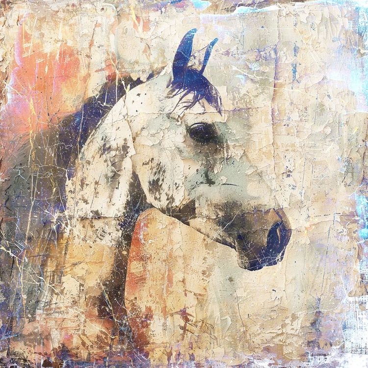 Picture of HORSE VINTAGE ART ILLUSTRATION 04