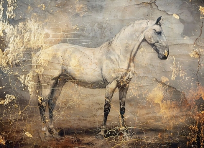 Picture of HORSE VINTAGE ART ILLUSTRATION 06