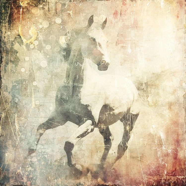 Picture of HORSE VINTAGE ART ILLUSTRATION 07