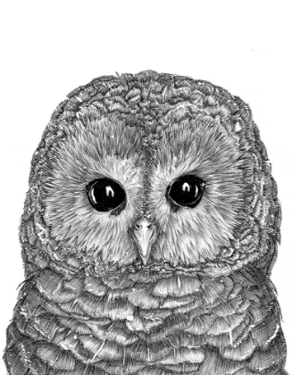 Picture of LITTLE OWL DUVET