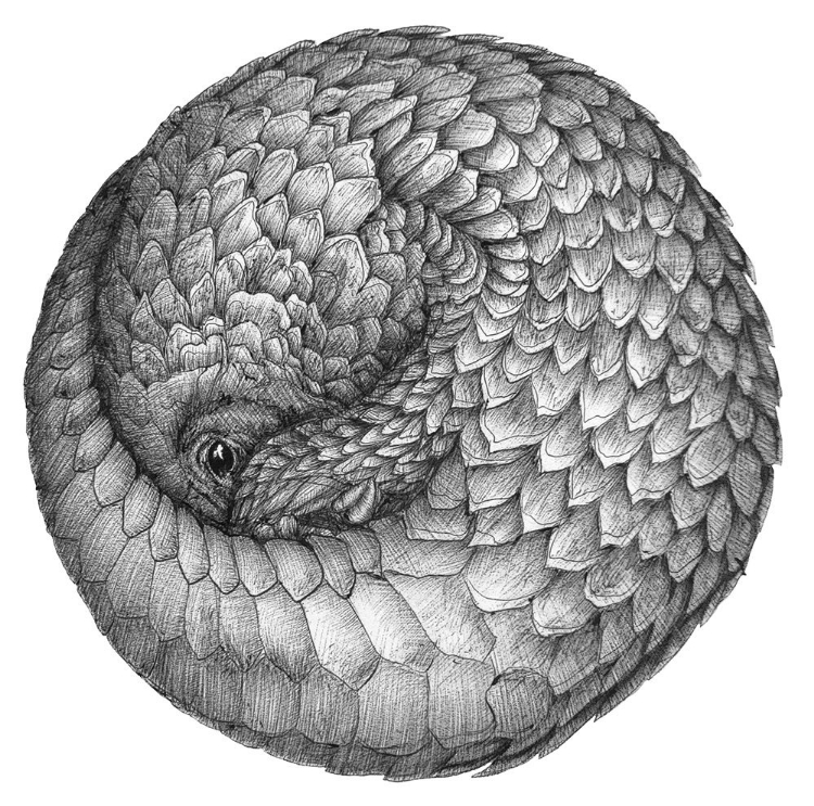 Picture of PANGOLIN BALL ORIGINAL