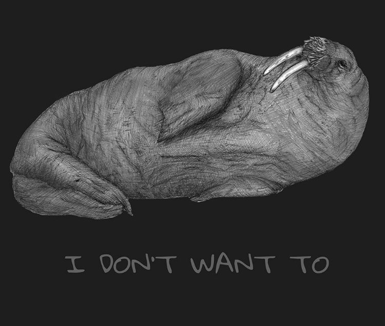 Picture of WALRUS I DONAND#039;T WANT TO.PNG