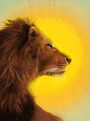 Picture of SUN AND LION COLOUR