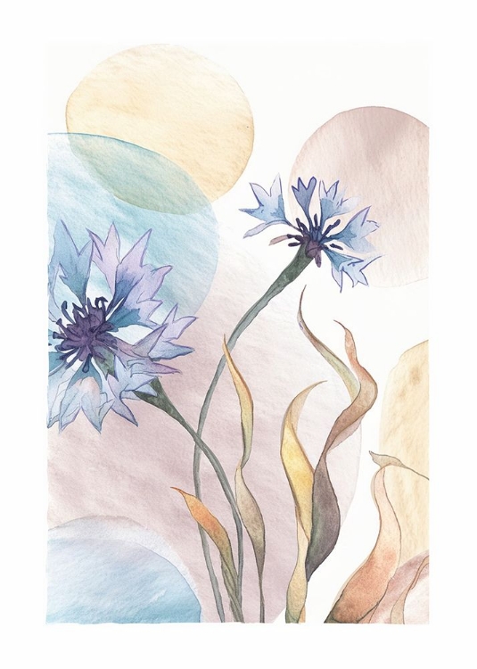 Picture of WATERCOLOR CORNFLOWERS