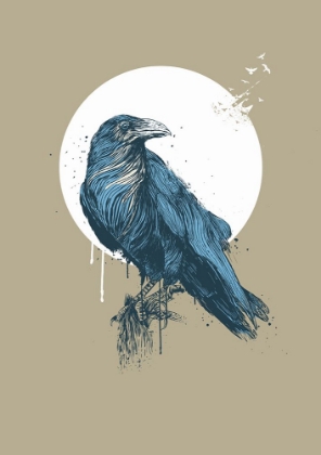 Picture of BLUE CROW III