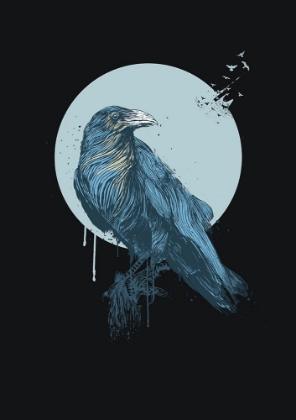 Picture of BLUE CROW (DARK)