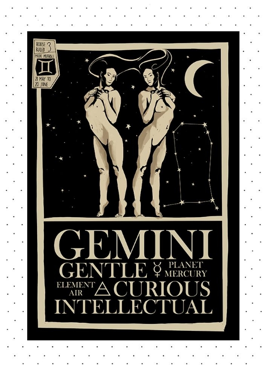 Picture of GEMINI