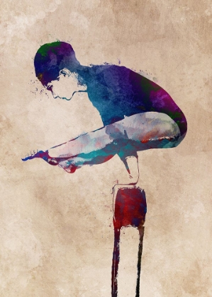 Picture of SPORT GYMNASTIC ART (1)