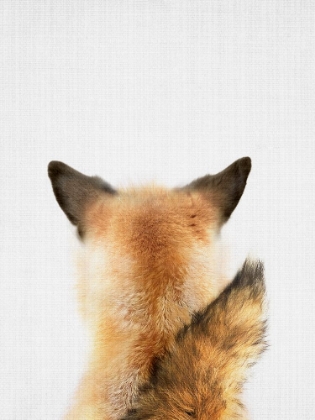 Picture of FOXTAIL