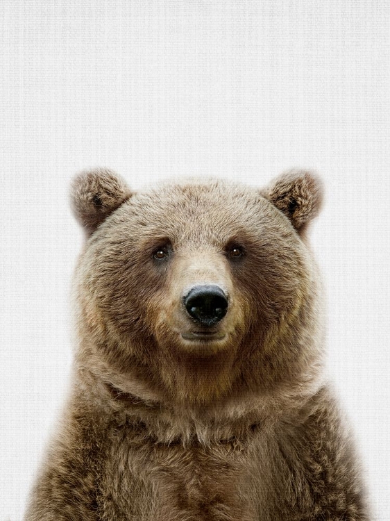 Picture of BEAR