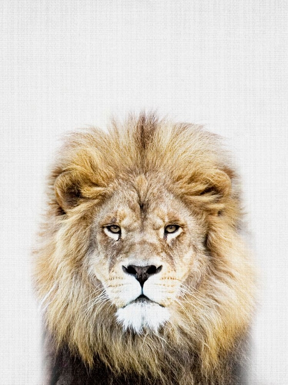 Picture of LION