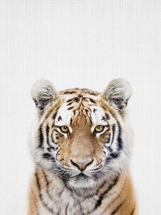 Picture of TIGER