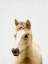 Picture of FOAL