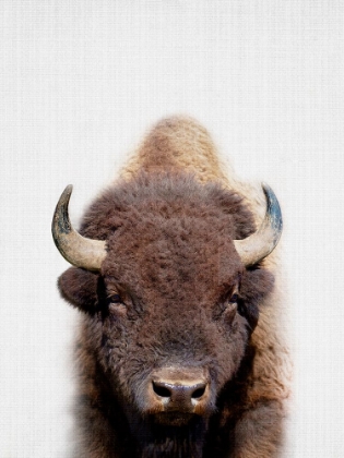 Picture of BISON