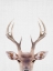 Picture of DEERANTLERS