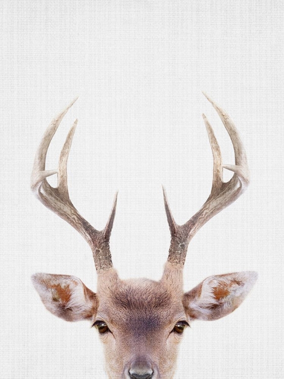 Picture of DEERANTLERS