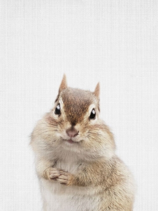 Picture of CHIPMUNK