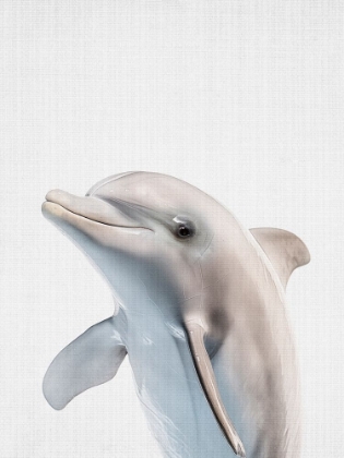 Picture of DOLPHIN
