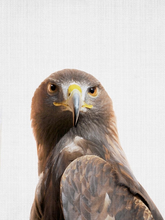 Picture of GOLDENEAGLE