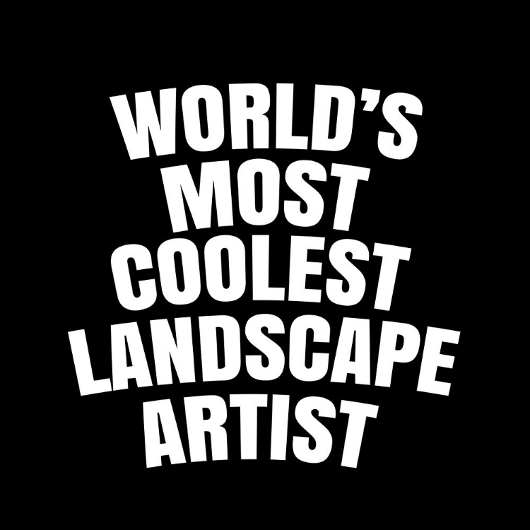 Picture of WORLDAND#039;S MOST COOLEST LANDSCAPE ARTIST