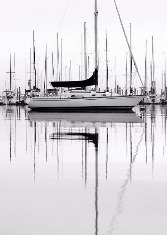 Picture of MONOCHROME HARBOR