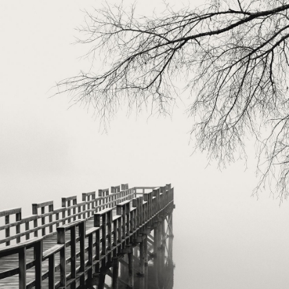 Picture of PIER IN WINTER FOG