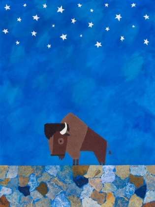 Picture of BISON BENEATH THE STARS II