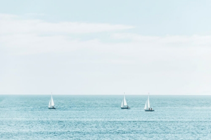 Picture of THREE SAILBOATS