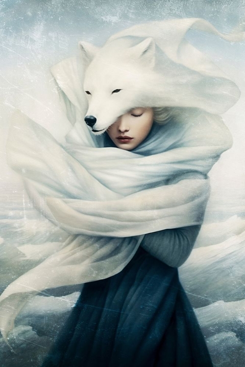 Picture of POLAR FOX SPIRIT