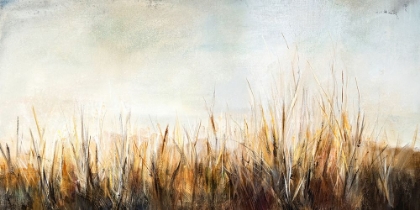 Picture of GRASSES IN THE BREEZE