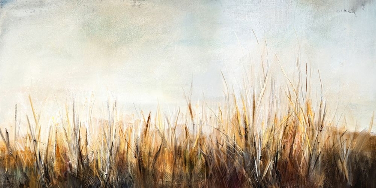 Picture of GRASSES IN THE BREEZE