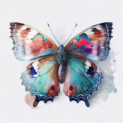 Picture of COLORFUL BUTTERFLY