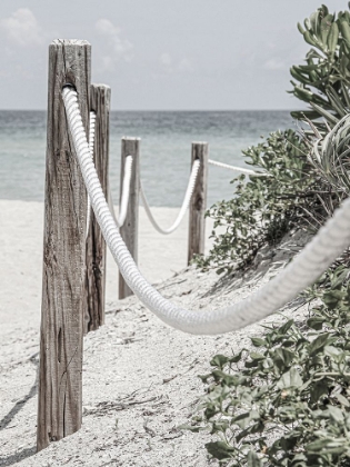 Picture of BEACH PATH WITH ROPES