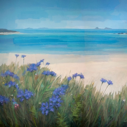 Picture of SCILLIES BEACH