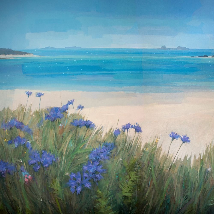 Picture of SCILLIES BEACH