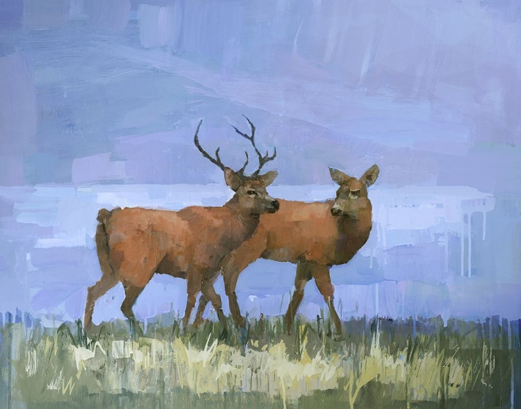 Picture of TWO RED DEER