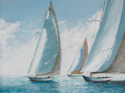 Picture of REGATTA