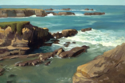 Picture of MENDOCINO COAST