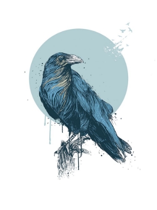 Picture of BLUE CROW