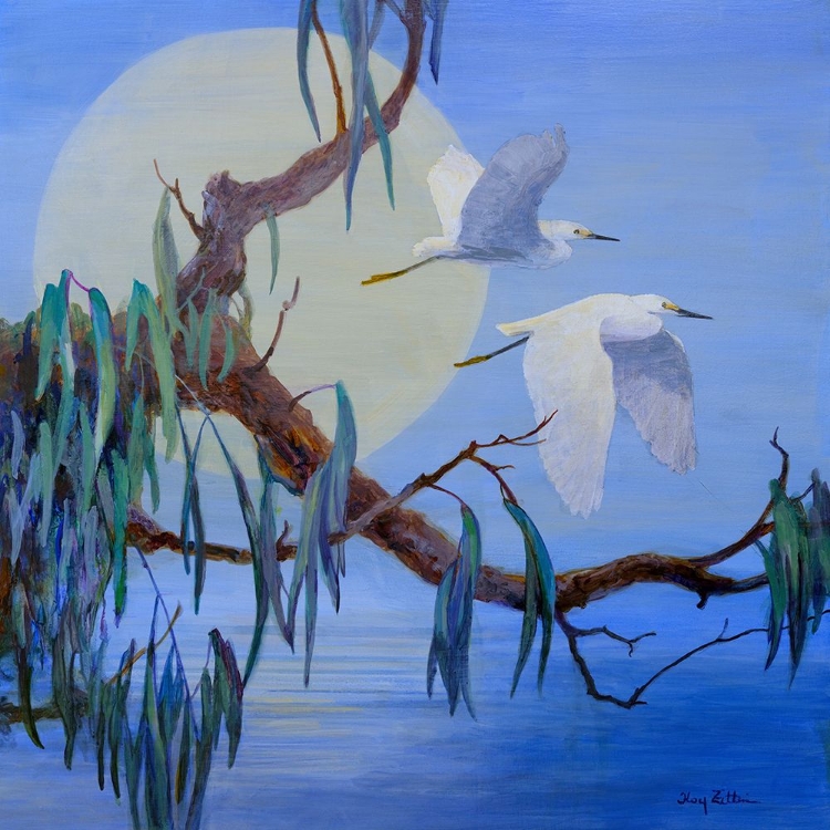 Picture of EGRET PAIR IN FLIGHT