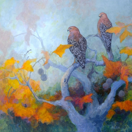 Picture of RED-SHOULDERED HAWK PAIR