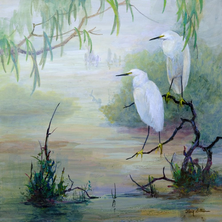 Picture of SNOWY EGRETS IN WETLANDS