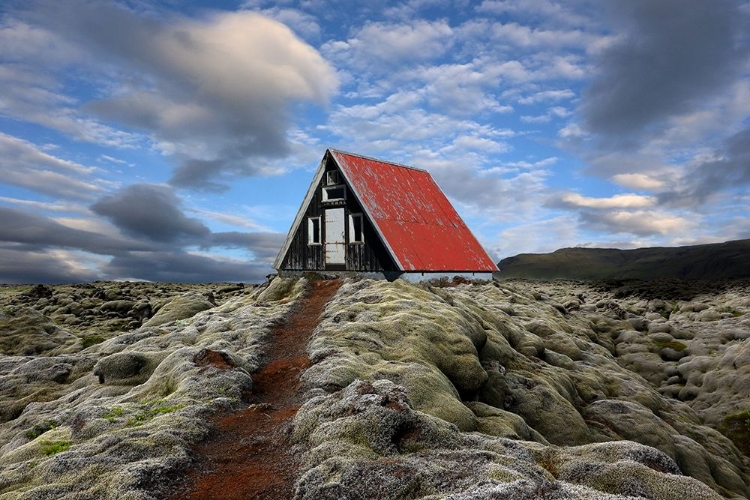 Picture of THE RED PATH TO THE RED ROOF